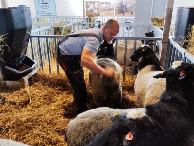 Nacionalna izložba stoke na 90. Sajmu poljoprivrede u Novom Sadu