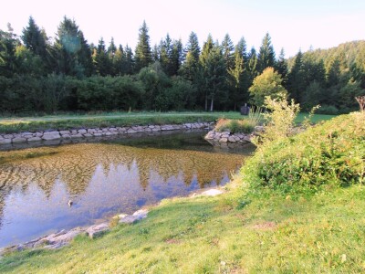 Nacionalni park Risnjak