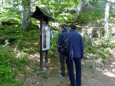 Nacionalni park Risnjak