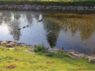 Nacionalni park Risnjak
