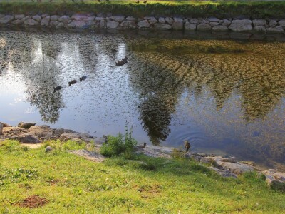 Nacionalni park Risnjak