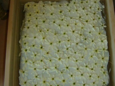 Nada Šarić: Spojimo li urbano i ruralno, kvaliteta života može biti samo veća