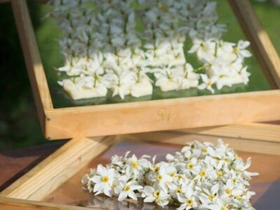 Nada Šarić: Spojimo li urbano i ruralno, kvaliteta života može biti samo veća