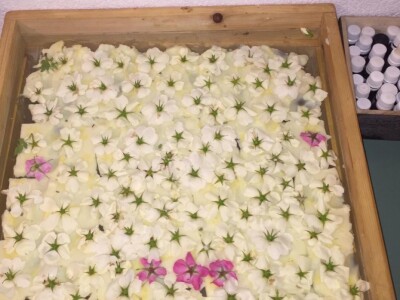 Nada Šarić: Spojimo li urbano i ruralno, kvaliteta života može biti samo veća