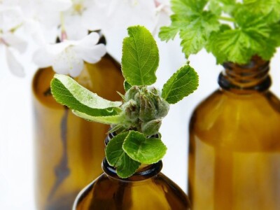 Nada Šarić: Spojimo li urbano i ruralno, kvaliteta života može biti samo veća