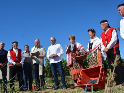 VINOGRADARSKI POLOŽAJ - Otkrivena tajna Nadinskog blata! VINOGRADARSKI POLOŽAJ - Otkrivena tajna Nadinskog blata!