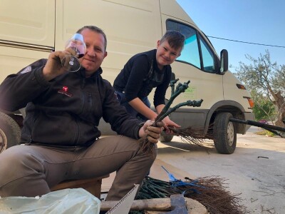 NADINSKO BLATO - Sadnja novog vinograda u jeku pandemije