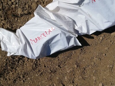 NADINSKO BLATO - Sadnja novog vinograda u jeku pandemije