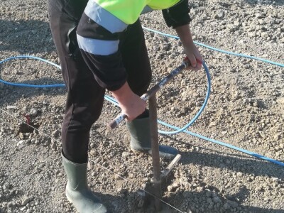 NADINSKO BLATO - Sadnja novog vinograda u jeku pandemije