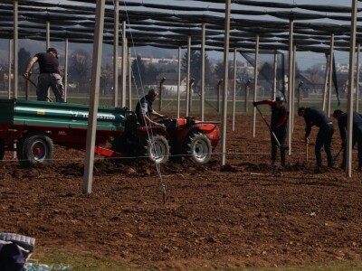 Nadomak Sarajeva niče prvi savremeni ogledno-kolekcijski voćnjak u BiH