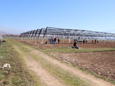Nadomak Sarajeva niče prvi savremeni ogledno-kolekcijski voćnjak u BiH