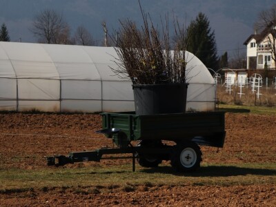 Nadomak Sarajeva niče prvi savremeni ogledno-kolekcijski voćnjak u BiH