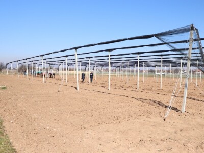 Nadomak Sarajeva niče prvi savremeni ogledno-kolekcijski voćnjak u BiH