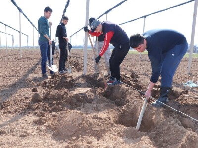 Nadomak Sarajeva niče prvi savremeni ogledno-kolekcijski voćnjak u BiH