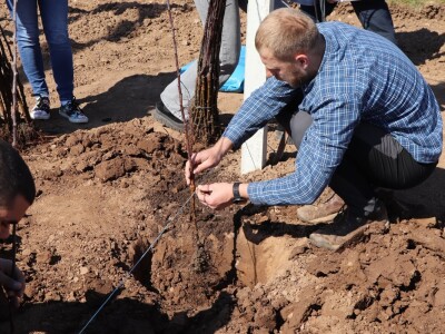 Nadomak Sarajeva niče prvi savremeni ogledno-kolekcijski voćnjak u BiH