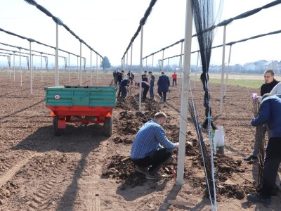 Nadomak Sarajeva niče prvi savremeni ogledno-kolekcijski voćnjak u BiH