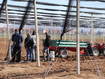 Nadomak Sarajeva niče prvi savremeni ogledno-kolekcijski voćnjak u BiH