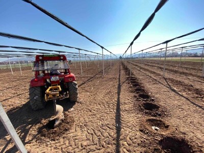 Nadomak Sarajeva niče prvi savremeni ogledno-kolekcijski voćnjak u BiH