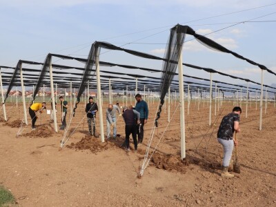 Nadomak Sarajeva niče prvi savremeni ogledno-kolekcijski voćnjak u BiH