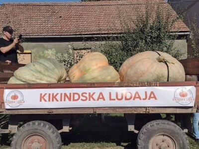 Nagrađene bundeve na Danima ludaje 2023.godine Nagrađene bundeve na Danima ludaje 2023.godine