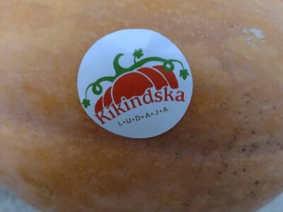 Nagrađene bundeve na Danima ludaje 2023.godine Nagrađene bundeve na Danima ludaje 2023.godine