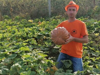 Nagrađene bundeve na Danima ludaje 2023.godine Nagrađene bundeve na Danima ludaje 2023.godine