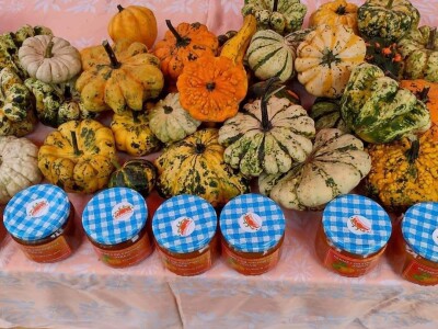 Nagrađene bundeve na Danima ludaje 2023.godine Nagrađene bundeve na Danima ludaje 2023.godine