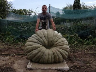 Nagrađene bundeve na Danima ludaje 2023.godine Nagrađene bundeve na Danima ludaje 2023.godine