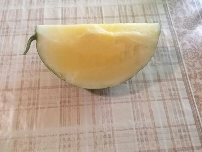 Nagrađene bundeve na Danima ludaje 2023.godine Nagrađene bundeve na Danima ludaje 2023.godine