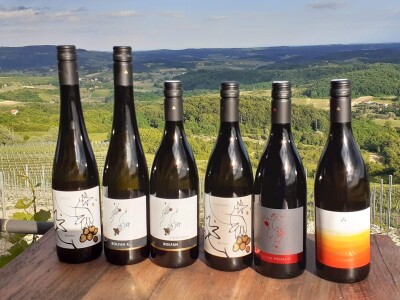 Nagrađivane eko vinarije