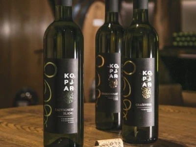 Nagrađivane eko vinarije