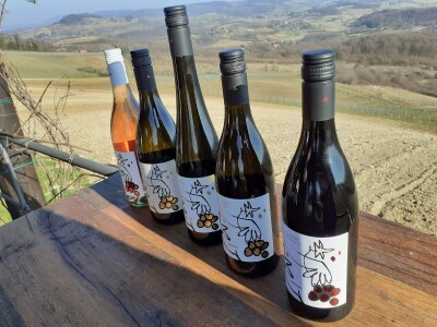 Nagrađivane eko vinarije