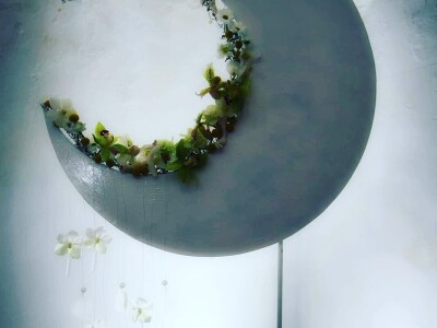 Nagrađivani cvjećar Tihomir Košćak