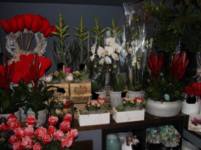 Nagrađivani cvjećar Tihomir Košćak