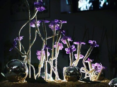 Nagrađivani cvjećar Tihomir Košćak