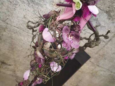 Nagrađivani cvjećar Tihomir Košćak