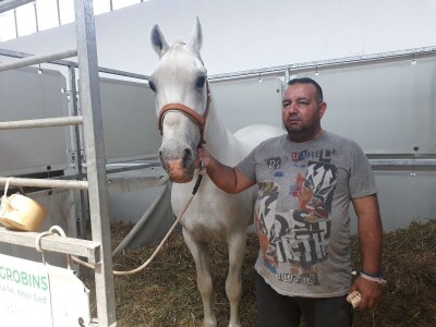 Nagrađivani konji Siniše Paunovića iz Surduka Nagrađivani konji Siniše Paunovića iz Surduka