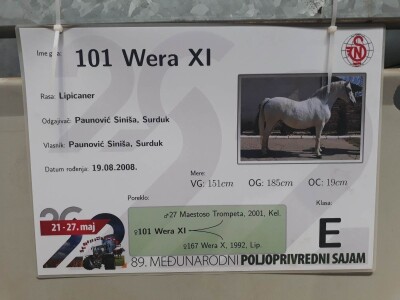 Nagrađivani konji Siniše Paunovića iz Surduka Nagrađivani konji Siniše Paunovića iz Surduka