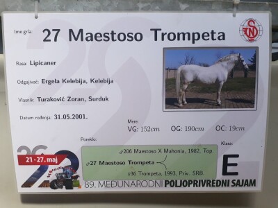 Nagrađivani konji Siniše Paunovića iz Surduka