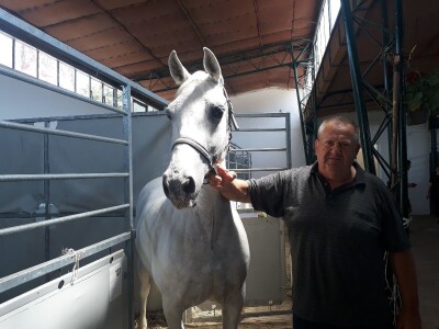 Nagrađivani konji Siniše Paunovića iz Surduka