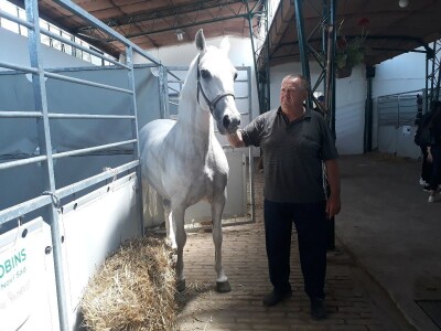 Nagrađivani konji Siniše Paunovića iz Surduka Nagrađivani konji Siniše Paunovića iz Surduka