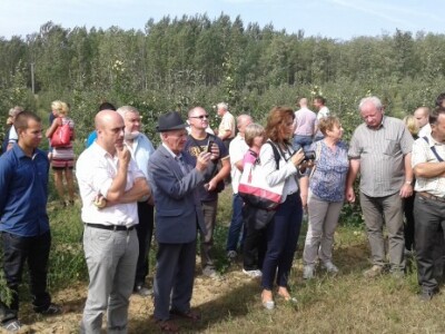 Uzgoj jabuka u Mađarskoj Uzgoj jabuka u Mađarskoj