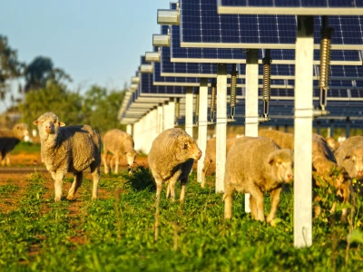 Najavljena gradnja prve agrosolarne elektrane u Hrvatskoj