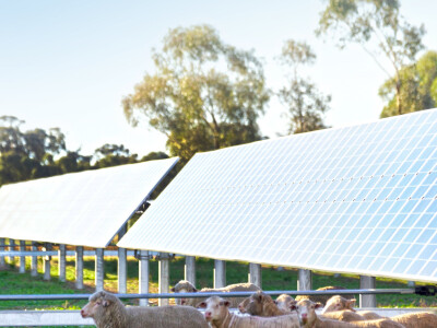 Najavljena gradnja prve agrosolarne elektrane u Hrvatskoj