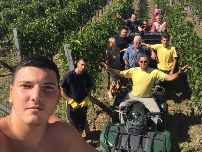 Najbolja nepoznata vinarija na svetu