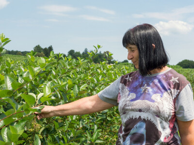Najbolje iz Međimurja