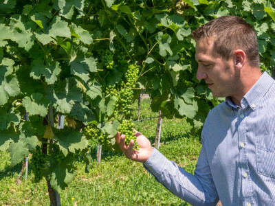 Najbolje iz Međimurja