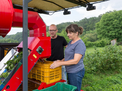 Najbolje iz Međimurja