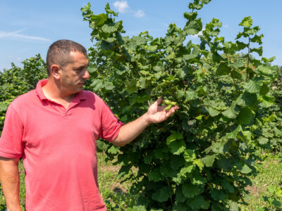 Najbolje iz Međimurja