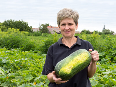 Najbolje iz Međimurja